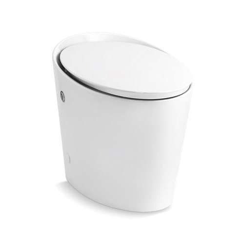 Kohler® 46006-0 1-Piece Chair Height Toilet, Avoir™ Comfort Height ...